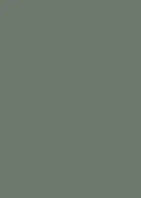 Однотонные декоры ЛДСП EGGER лдсп зеленый эвкалипт u604 st9 2800 х 2070 х 16 мм, egger